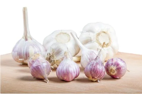 Organic garlic . Stock Photos