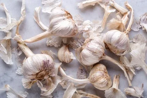Organic Garlic Stock Photos