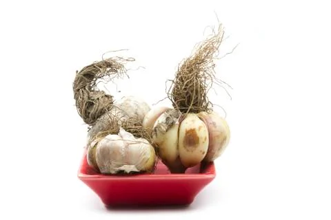 Organic garlics Stock Photos