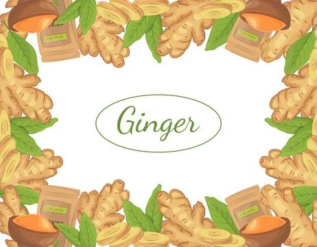 Organic ginger root frame, slices pieces, leaves, powder in a pack, and bow.. Stock Illustration