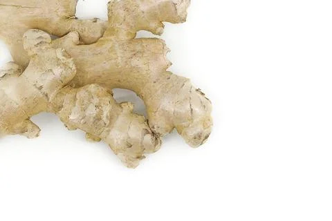 Organic ginger root placed on white surface with detailed texture. Stock Photos