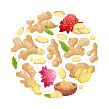 Organic Ginger Round Composition Design with Root and Blooming Flower Vector Иллюстрация