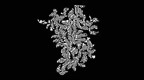 Organic growing mask, leafy pattern filling the screen with inky motion Video stock 66830564