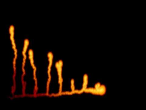 Organic growing pulsating tadpole drop shapes Stock Footage 72573618