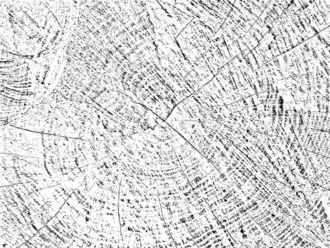 Organic grunge texture of a tree cross-section with cracks Illustrazione stock
