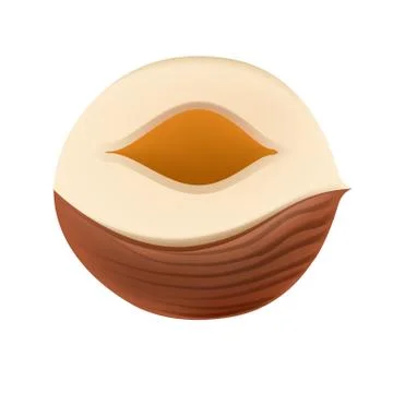 Organic Half hazelnut. 3d realistic colors. Stock Illustration
