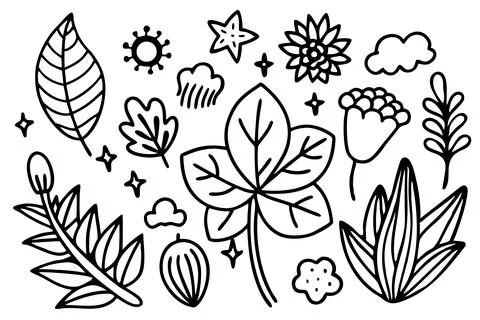 Organic hand drawn doodle set with diverse nature and botanical elements Illustrazione stock