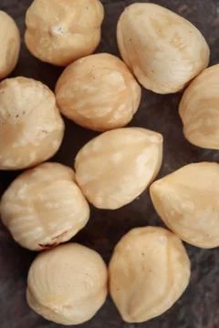 Organic hazelnut on a dark background Stock Photos