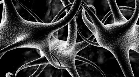 Organic (HD) Stock Footage 7135566