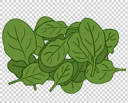 Organic 库存插图