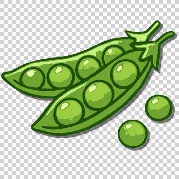 Organic 스톡 일러스트