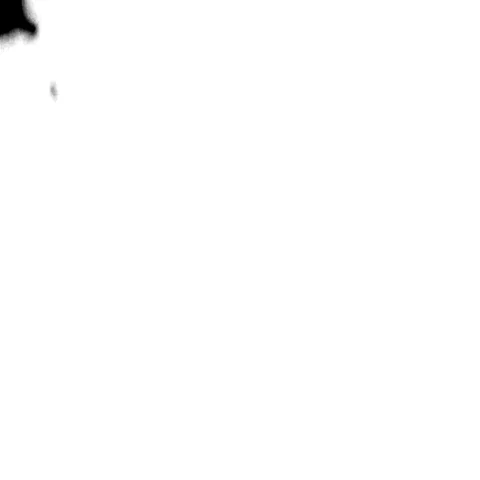Organic Ink Drop Matte Stock Footage