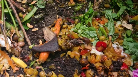 Organic kitchen leftovers collected in a household compost bin, illustrating Vídeos de archivo 336749337