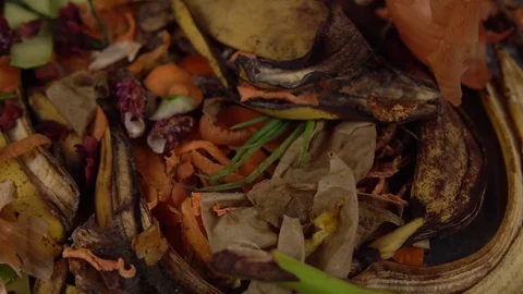 Organic kitchen waste for compost with leftover varied food. Stock Footage 112119592