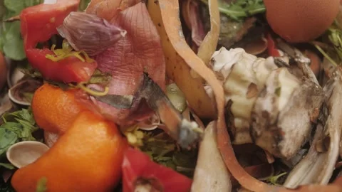 Organic kitchen waste, vegetable peels and fruit scraps, moldy stale bread close Stock Footage 283091456