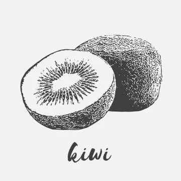 Organic kiwi fruit Stock Illustration