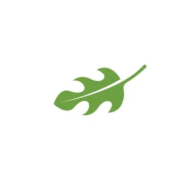 Organic leaves icon vector design template Stock Illustration