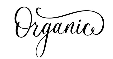 Organic lettering in elegant cursive script with decorative flourishes. Stock Illustration