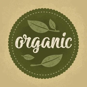 Organic lettering with leaf. Vector dark green vintage illustration Stock-Illustration