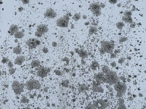 Organic Lichen Pattern on White Textured Surface Stock Photos