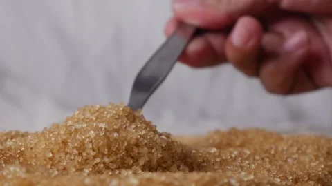 Organic Light Brown Sugar Stock-Footage 313269232