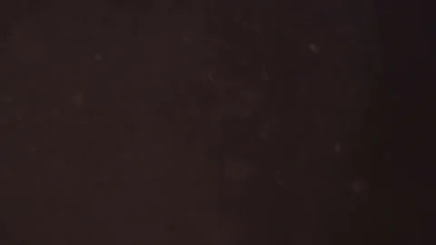 Organic Light Particles 库存影片 136018210