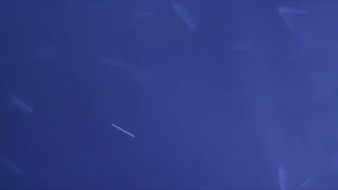 Organic Light Particles 库存影片 136019235
