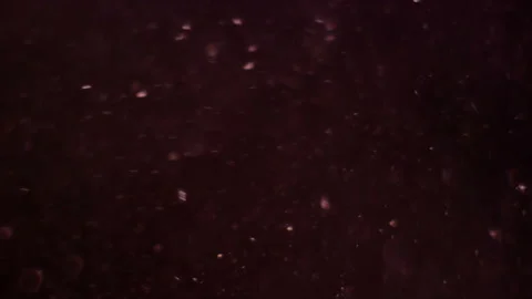 Organic Light Particles 库存影片 136035255