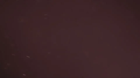 Organic Light Particles 库存影片 136036876