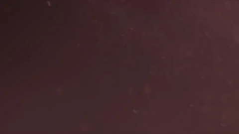 Organic Light Particles Stock Footage 136038197