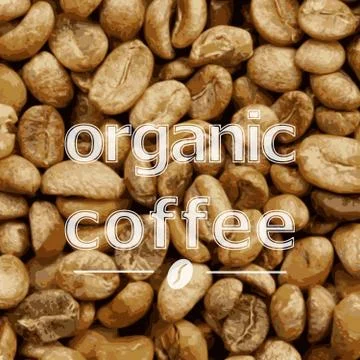 Organic lightbrown coffee beans Stock Illustration