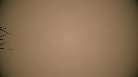 Organic lines 4K Stock Footage 62521904