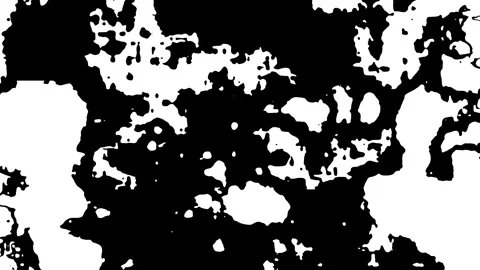 Organic liquid movement of black solid color on white background Video stock 304131419