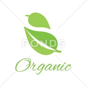 Organic Logo Green Leaf Design Flat