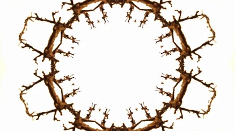 Organic loop background 스톡 동영상 38019658