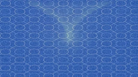 Organic Looping Background Visual Experience Stock Footage 328678786