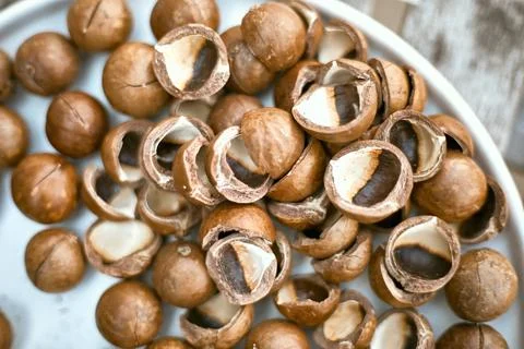 Organic Macadamia nut Stock Photos