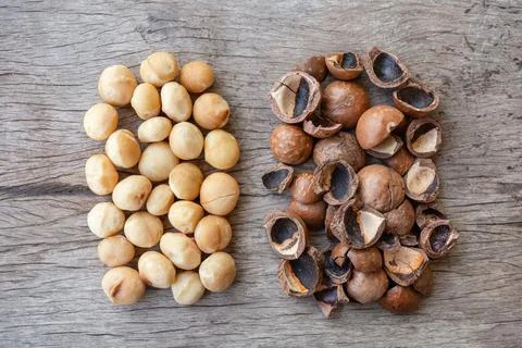 Organic Macadamia nuts and shell on wood table Stock Photos