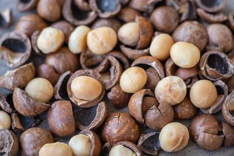 Organic Macadamia nuts and shell on wooden table Stock Photos