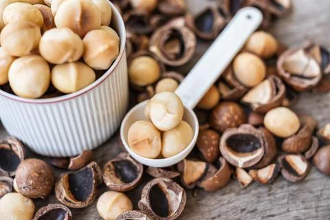 Organic Macadamia nuts with shell on spoon and cup on wood table Stock Photos