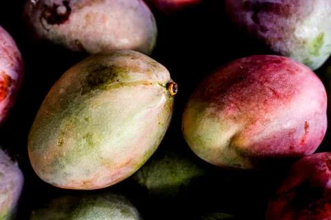 Organic mangos on the table Foto stock