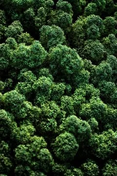Organic material abstract Stock Photos