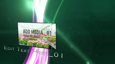 Organic media display 스톡 After Effects