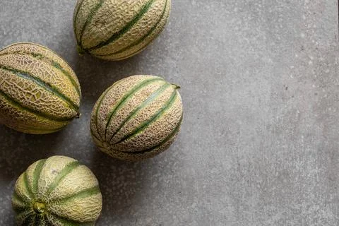 Organic melons on a gray background. Stock Photos