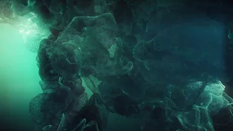 Organic Mesh Stock-Footage 69178499