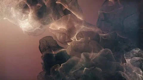 Organic Mesh Stock-Footage 69178537