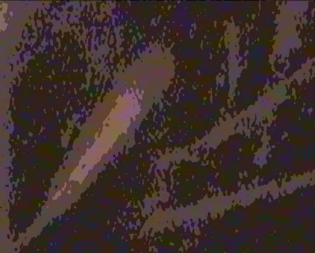 Organic Motion Cellular Activity Stock Footage 79008