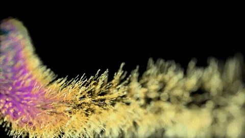 Organic movements of growing structure. Digital bird feather. Curved comet's Stock Footage 96073002