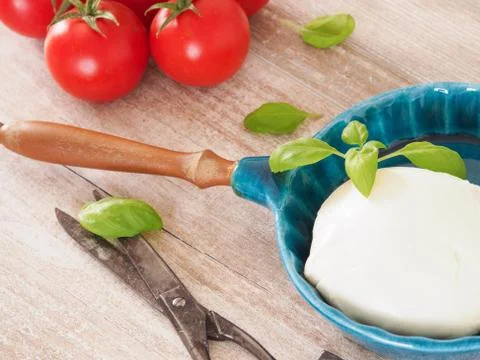 Organic mozzarella with basil Stock Photos