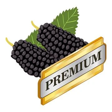 Organic mulberry icon isometric vector. Fresh black mulberry and premium sign Stock Illustration